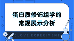 丁香实验推荐阅读