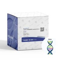 双链DNA-HS检测试剂盒