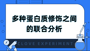 丁香实验推荐阅读