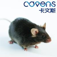 DIO高脂饮食诱导肥胖小鼠【开学季活动 满10000减1000】