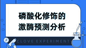 丁香实验推荐阅读