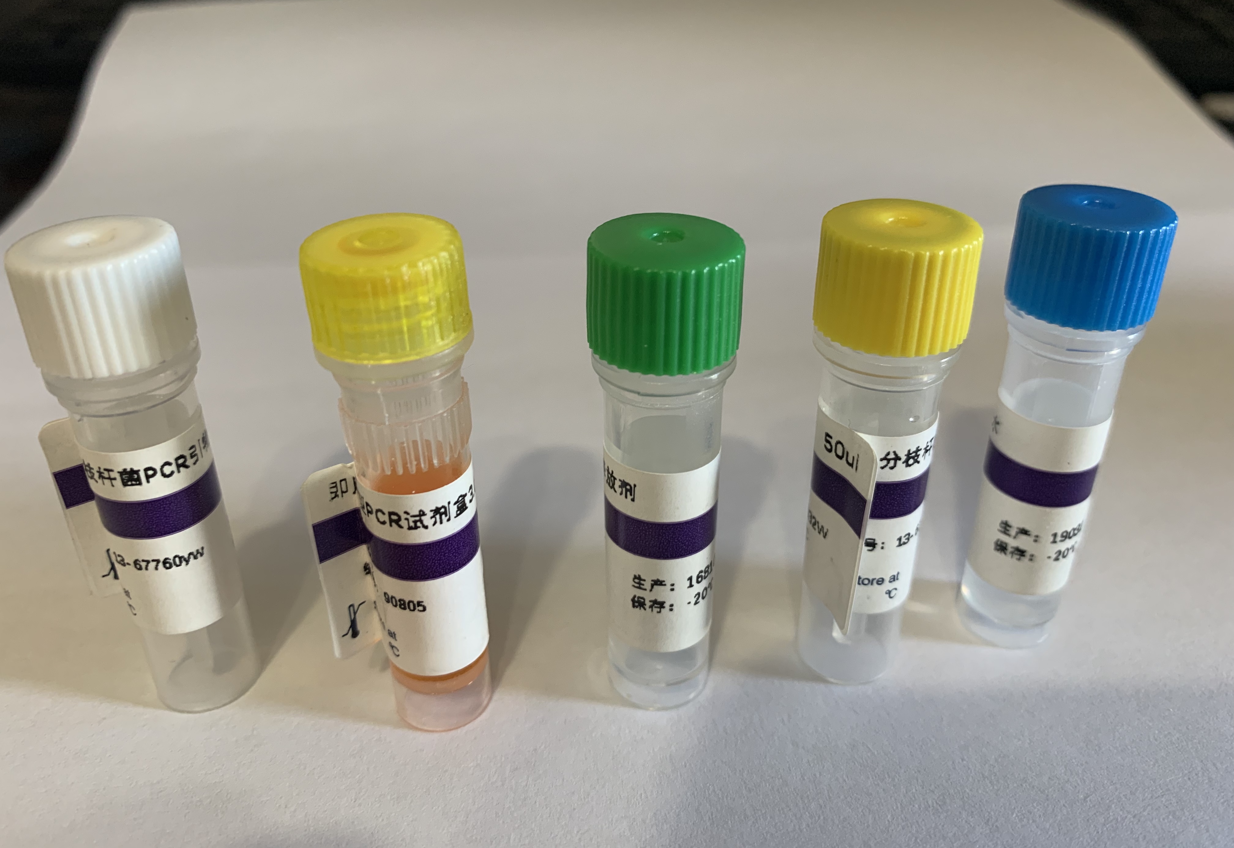 大肠杆菌通用型(EC-U)核酸扩增检测试剂盒(PCR-荧光探针法)