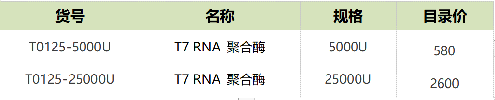 【新品上市】LABLEAD 体外转录T7 RNA ploymerase