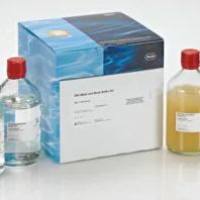 DIG洗涤和封闭液套装 11585762001 现货特价