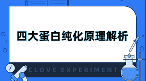 丁香实验推荐阅读