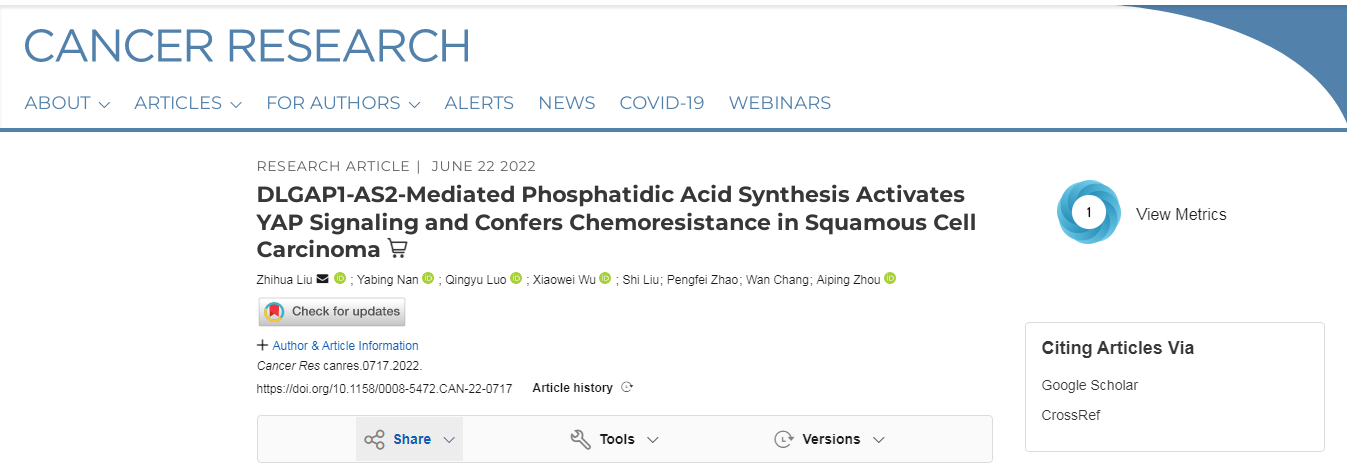 Cancer Research丨全转录组测序助力发现lncRNA DLGAP1-AS2赋予SCC化疗耐药的分子机制