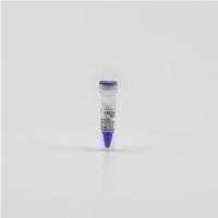 LAB2000 DNA Marker