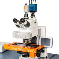 组织原位单细胞空间表型验证定量系统-精准数据分析工具