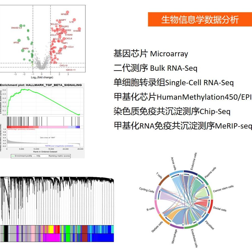 SCI 生信分析/实验验证/分子机制/干湿结合