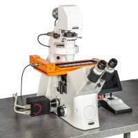 倒置组织原位单细胞空间表型验证定量系统