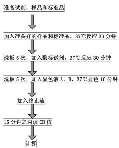 技术资料图片3