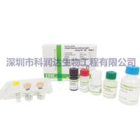 阿茨海默症试剂盒