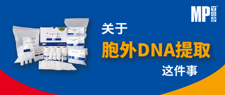 【超详细】原来胞外DNA是这样提取的！！