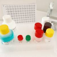 Super-n-stain YF405S Antibody Labeling Kits（YF405S抗体标记试剂盒）