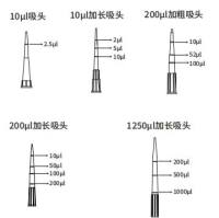 200μL加长（350μL盒装灭菌吸头，无色，有刻度线  优级）