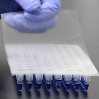 96孔PCR板硅胶盖