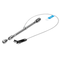 ACQUITY Premier Glycan BEH C18 AX, 95Å, 1.7 µm, VanGuard FIT 2.1 x 100 mm Column, 1/pk