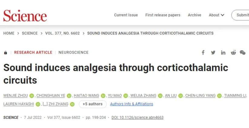 【客户文章】Science|中科大张智团队揭示声音调控疼痛的研究进展