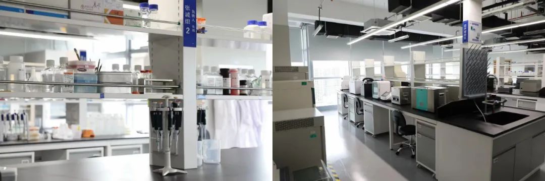 浙江大学医学院附属第四医院荣获省自然科学三等奖! 这个团队 YYDS