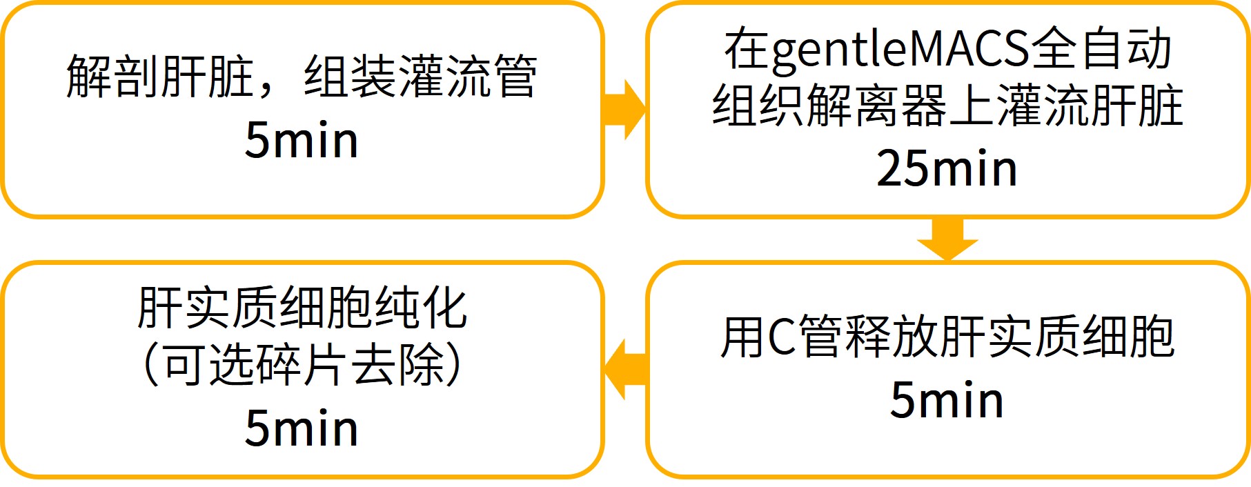 gentleMACS肝脏灌流系统