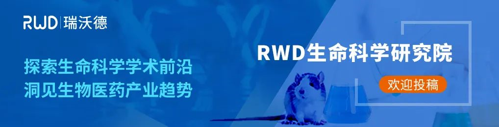 Neuron：脊髓神经元调控伤害性热刺激感受新机制