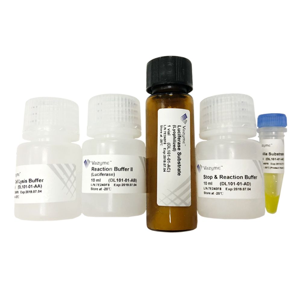 Dual Luciferase Reporter Assay Kit(双萤光检测、结果更可靠)(DL101)价格_品牌:诺唯赞(Vazyme ...