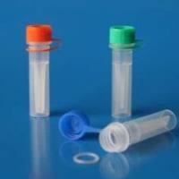 磷酸化细胞周期检查控制蛋白质抗体