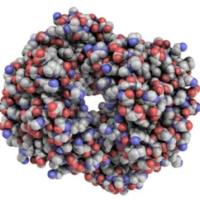 Meningococcal Group A, C Bivalent Polysaccharide Conjugate Vaccine