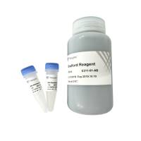 Detergent Compatible Bradford Protein Quantification Kit（兼容去污剂蛋白定量试剂盒）（E211）