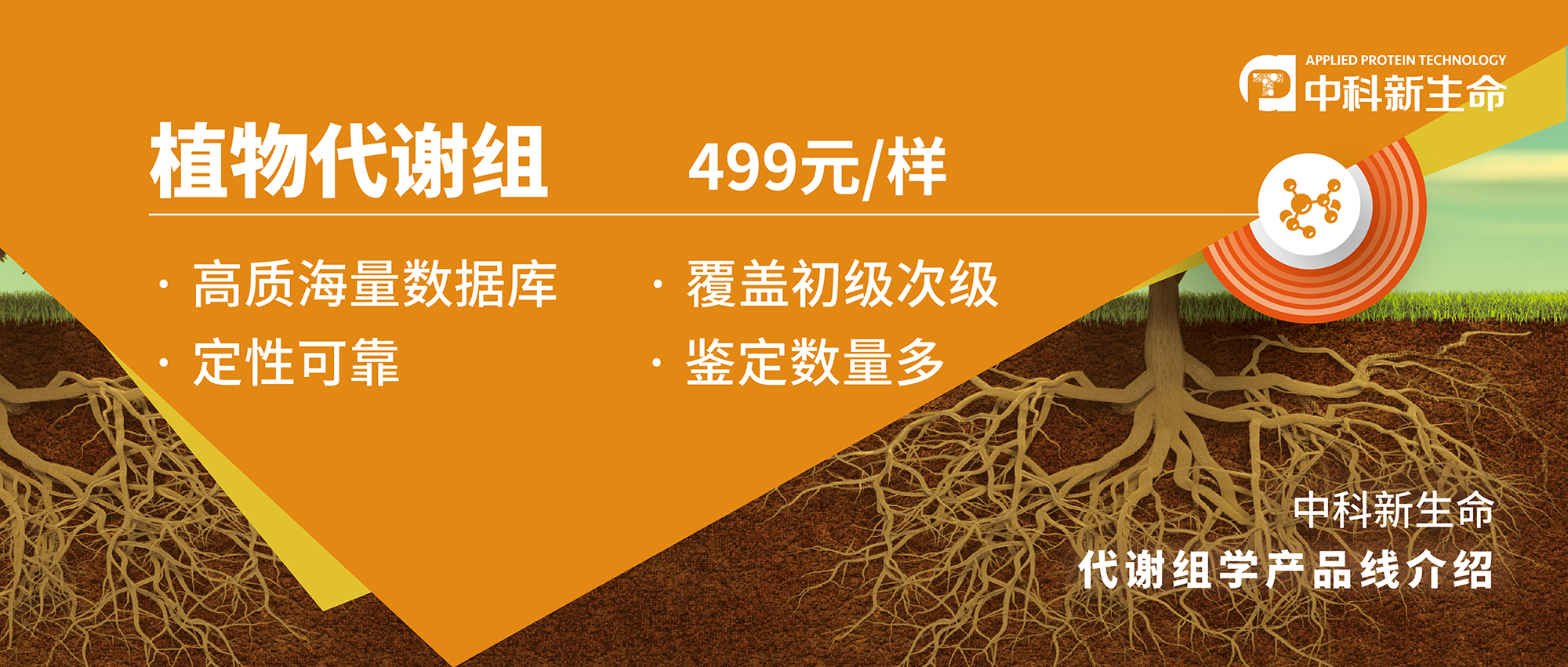 Plant Cell Environ | 根际细菌诱导植物生长促进的代谢特征