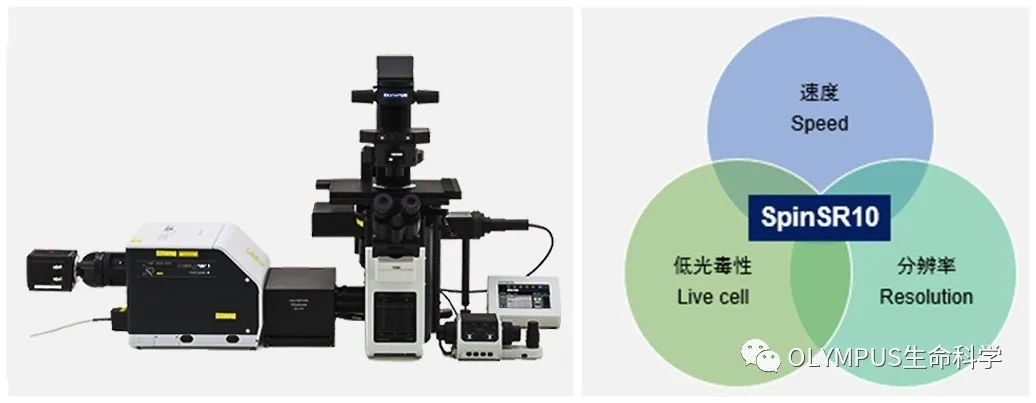 Make it Evident丨探寻材料膜裂解活性的“开关”