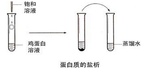 详解蛋白质常用的沉淀方法