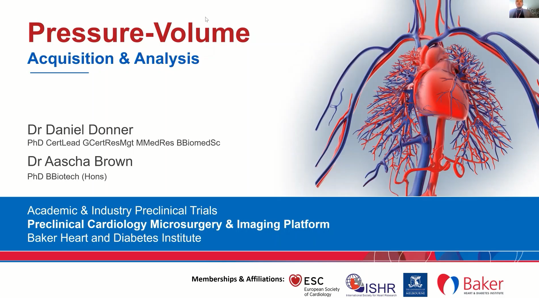 优化小鼠临床前PV环技术和分析