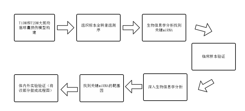 快来学！1 区 Top 刊的高分文章，是如何把动物实验和生信完美结合的！