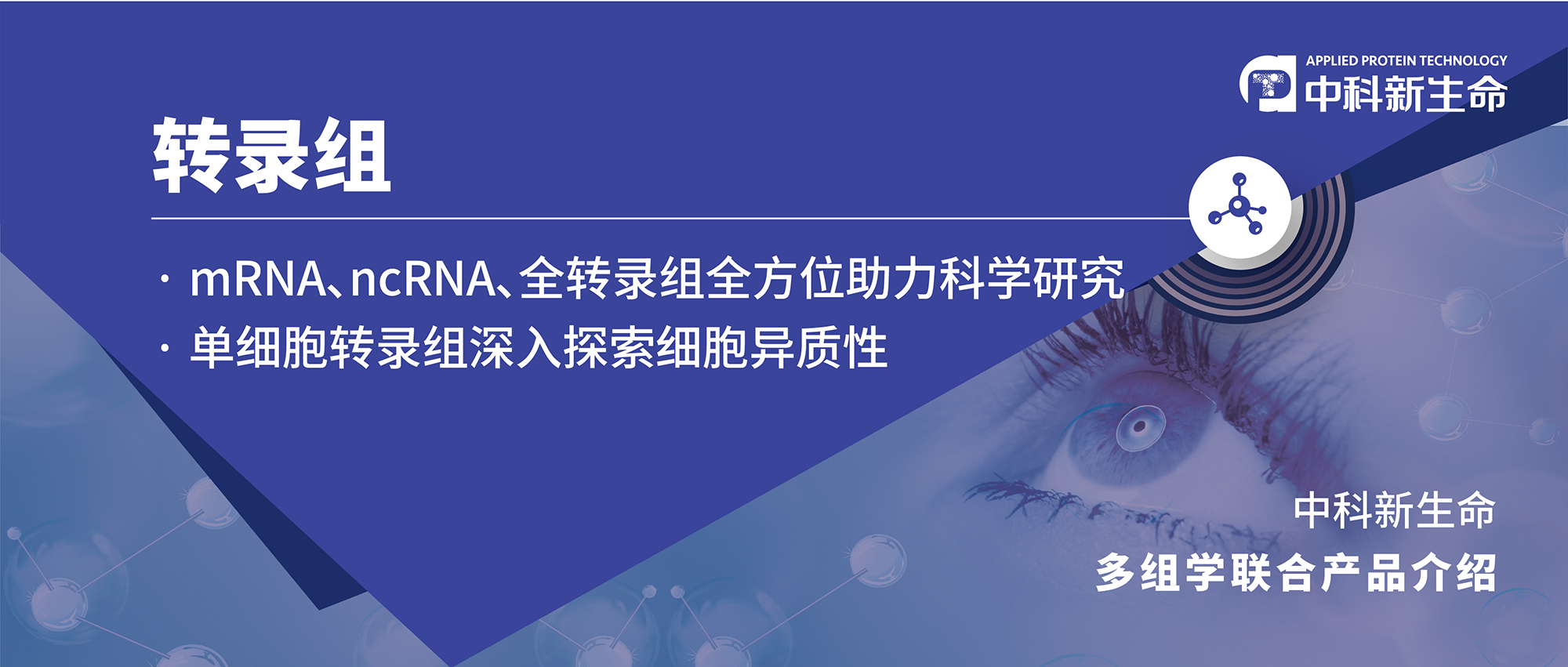 项目文章 | 转录组测序助力免疫性葡萄膜炎中胆汁酸调控树突状细胞功能机制研究