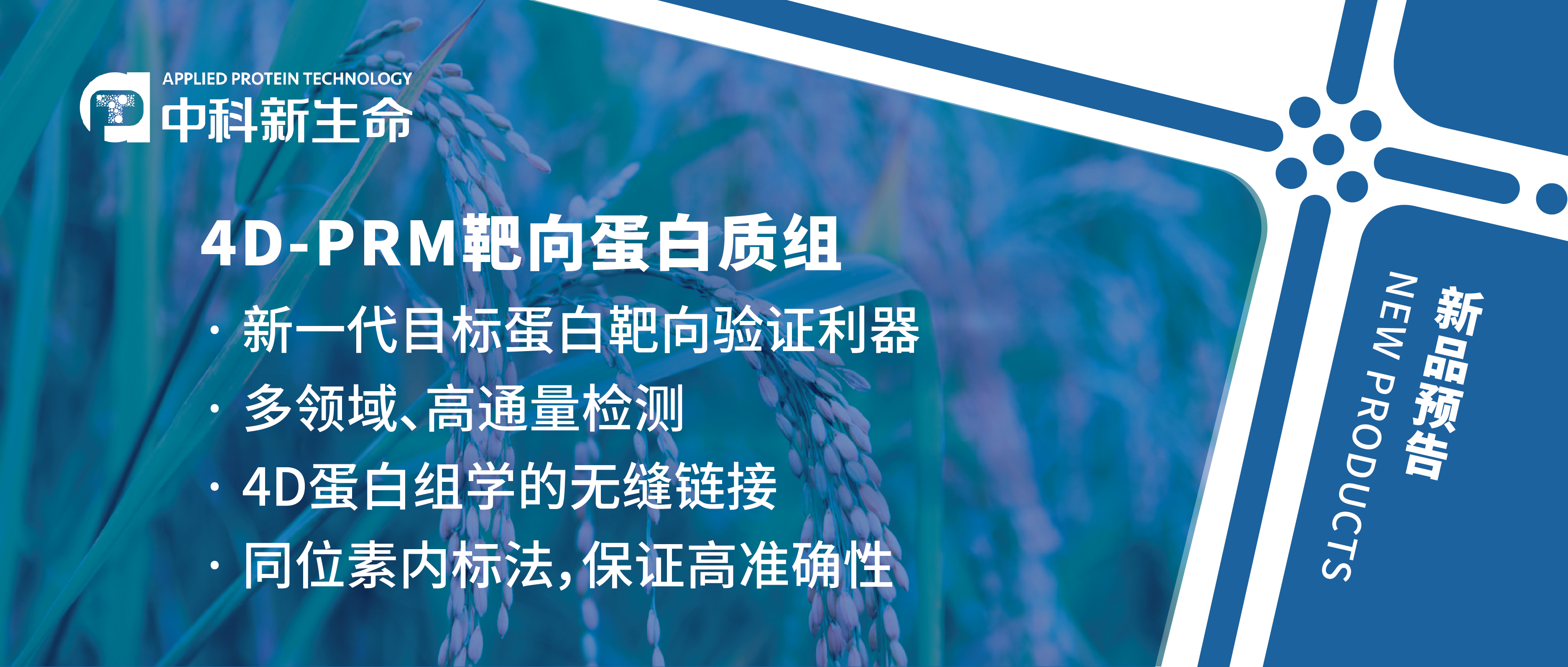 项目文章J Hazard Mater（IF 14）| 中国水稻研究所采用蛋白组+PRM验证探究水稻耐重金属胁迫的分子机制