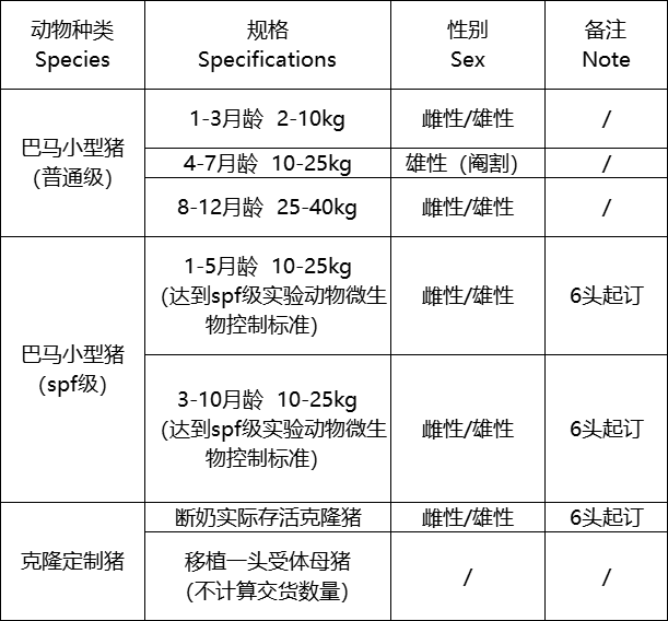 基因编辑猪 巴马猪巴马小型猪克隆猪克隆定制猪