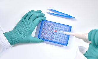 分析PCR反应出现假阴性，不出现扩增条带原因