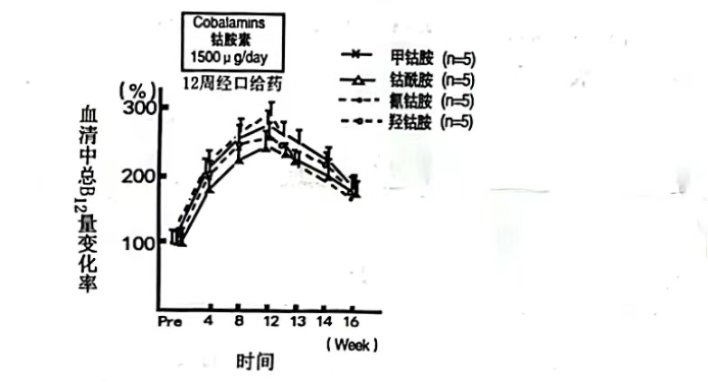 图片预览