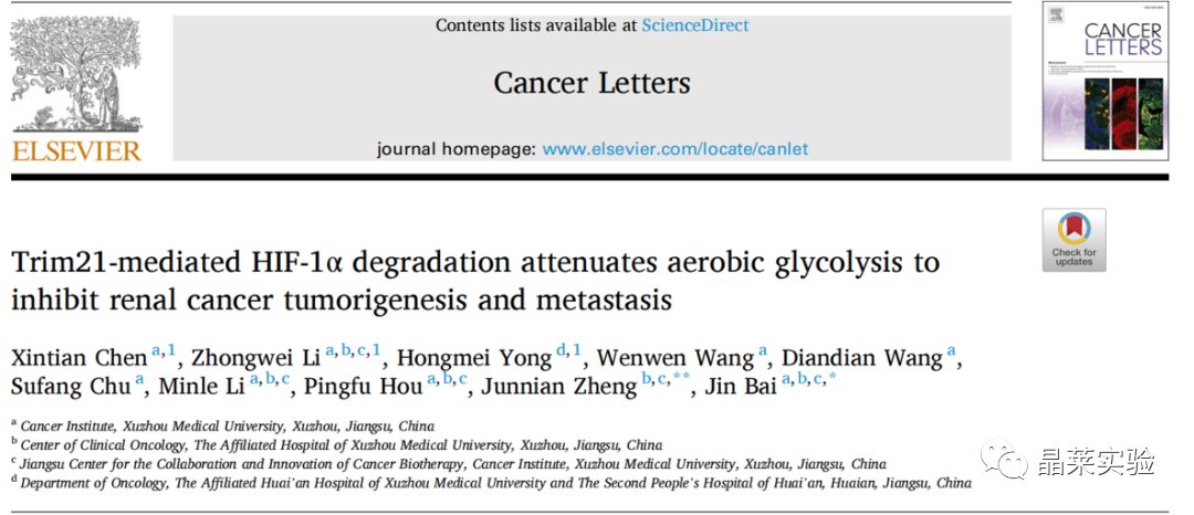 国自然热点泛素化研究之 “Trim21介导的HIF-1α降解减弱有氧糖酵解以抑制肾癌肿瘤发生和转移”