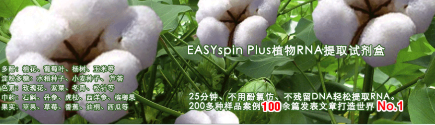 PC18-TRUEscript 1st Strand cDN