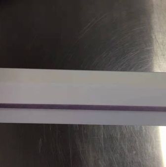 犬贾地鞭毛虫抗原大板卡(出口)