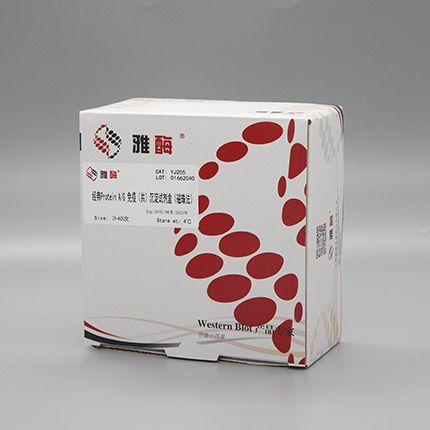 YJ205 HA免疫(共)沉淀试剂盒