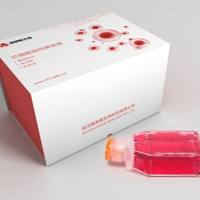 HTMC 人眼小梁网细胞