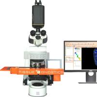全光谱组织原位单细胞空间表型验证定量系统