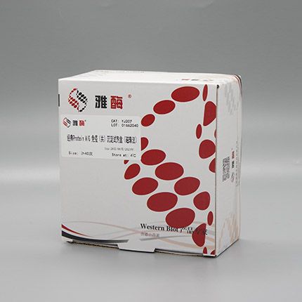 YJ207 Flag免疫(共)沉淀试剂盒
