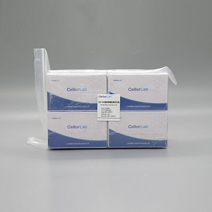 CX003L EdU-555细胞增殖检测试剂盒