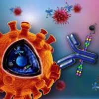 胆固醇24S－羟化酶 