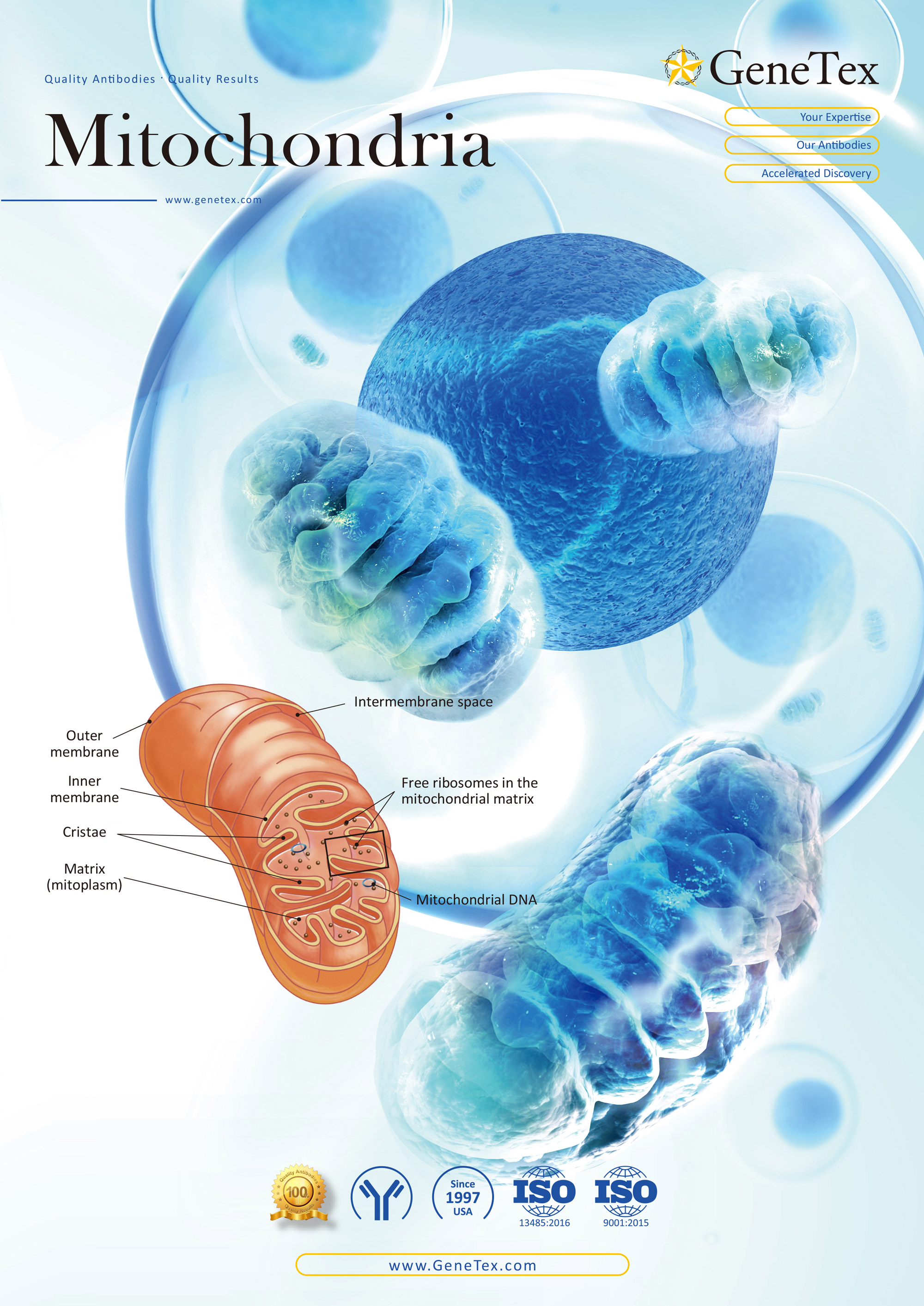 技术资料图片11
