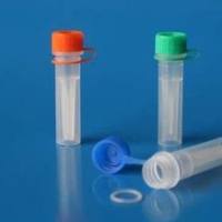 唾液酸转移酶1/α-2,6唾液酸转移酶抗体 